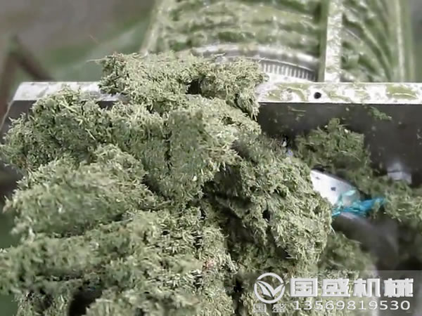 大白菜榨汁机