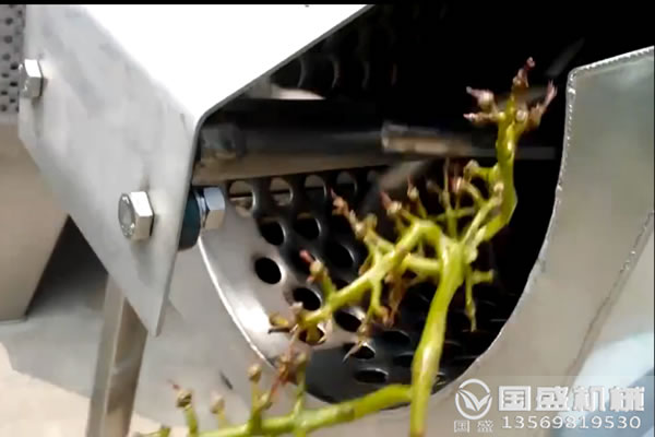 葡萄除梗机破碎装置